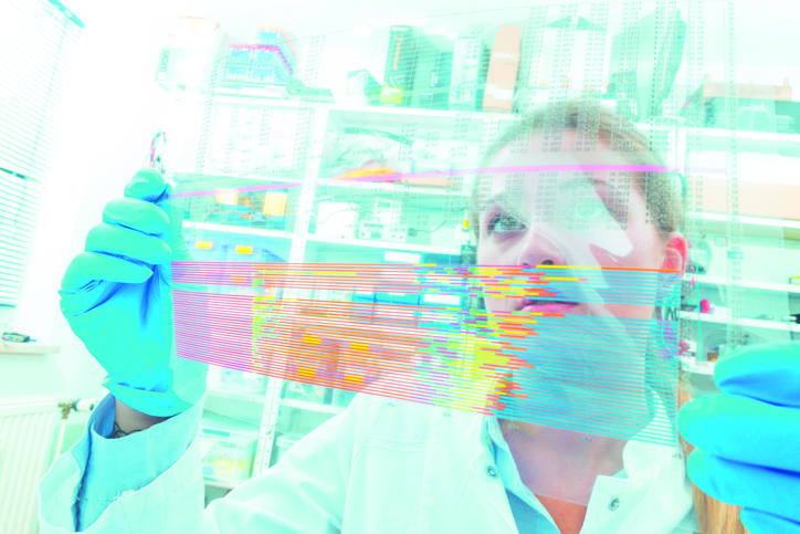 Comment fonctionne le doctorat en France ?  Campus France